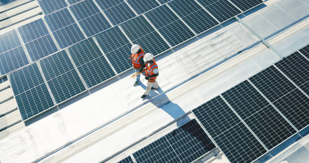 Best Emergency Roof Repair Services  in Cotati, CA