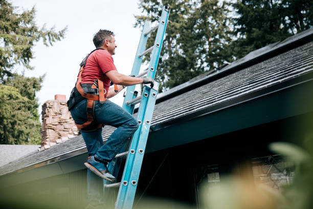 Best Gutter Installation and Repair  in Cotati, CA