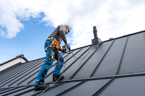 Best Sheet Metal Roofing  in Cotati, CA
